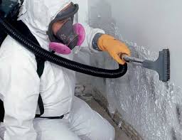 Best Asbestos and Lead Testing During Mold Inspection  in York, PA